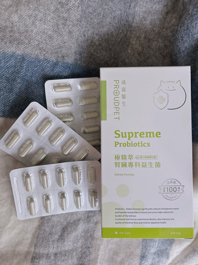 試用